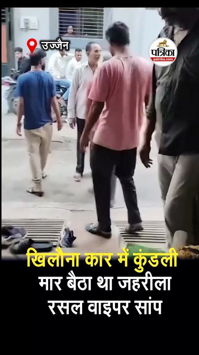 खिलौना कार में कुंडली मार बैठा था जहरीला रसल वाइपर सांप
