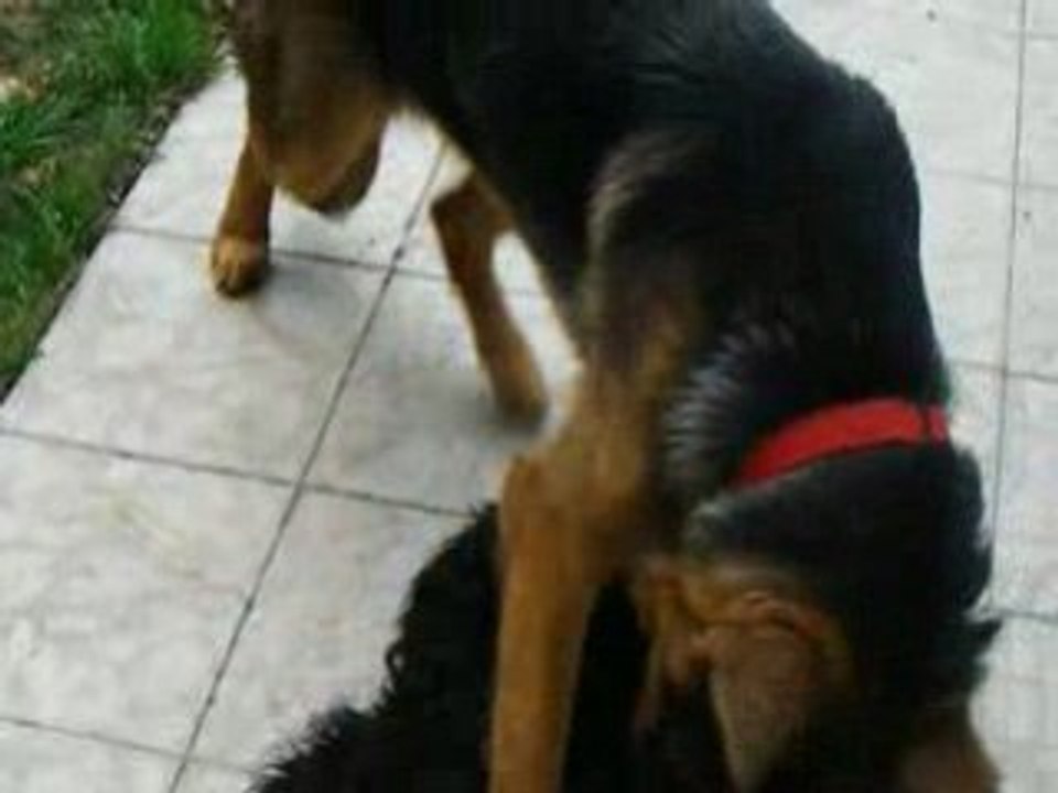 chenn et saxo