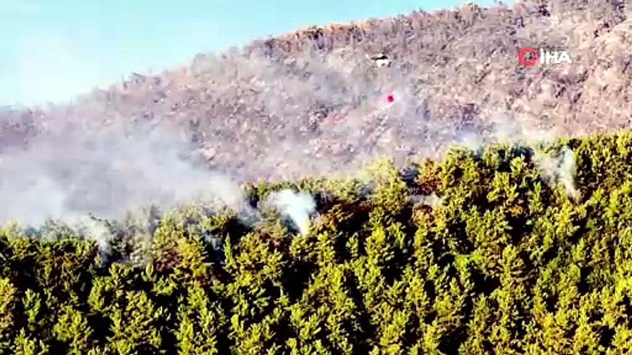 Muğla'da büyük orman yangını: Bin 120 kişi tahliye edildi