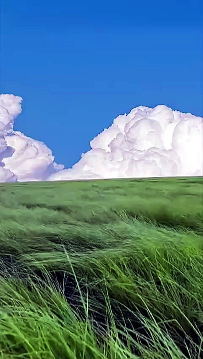 The Hulunbuir Grasslands in China look like a Ghibli movie 🍃☁️