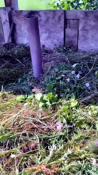 Composter les mauvaises herbes sans risque : nos astuces à connaître