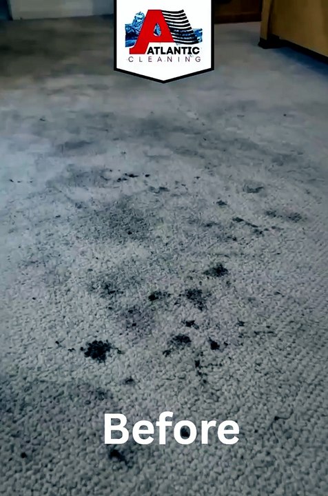 Professional Carpet Cleaning Transformation | Before & After Results
