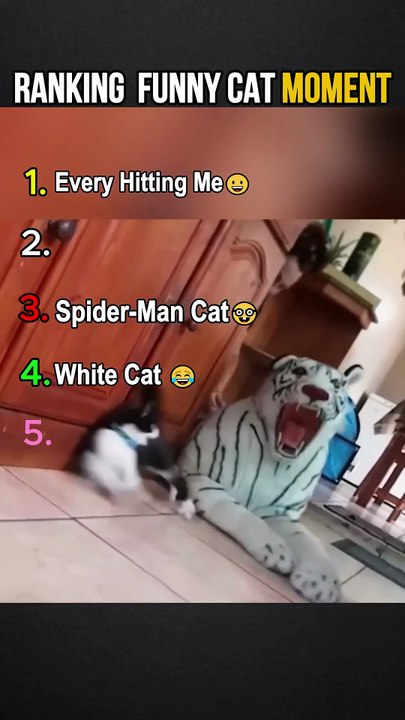 Top Funniest Cat Moments 😂 | Ranking Viral Funny Cats & Memes #Shorts