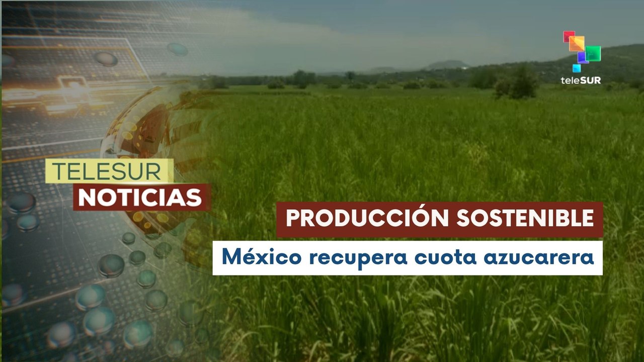 La industria azucarera mexicana apuesta por crecimiento sostenible