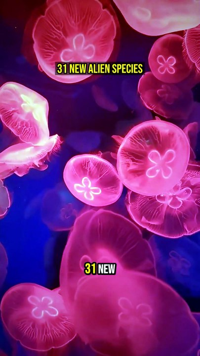 31 New Alien Species! 👽