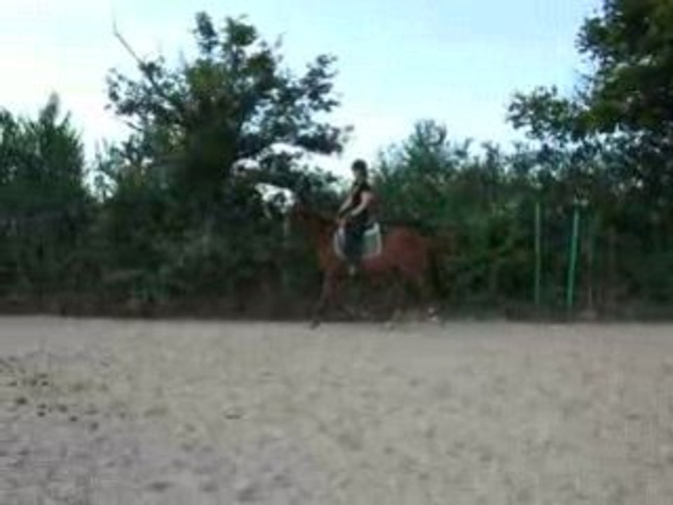 DSCF2307