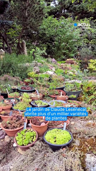 Un magnifique jardin dans les Yvelines