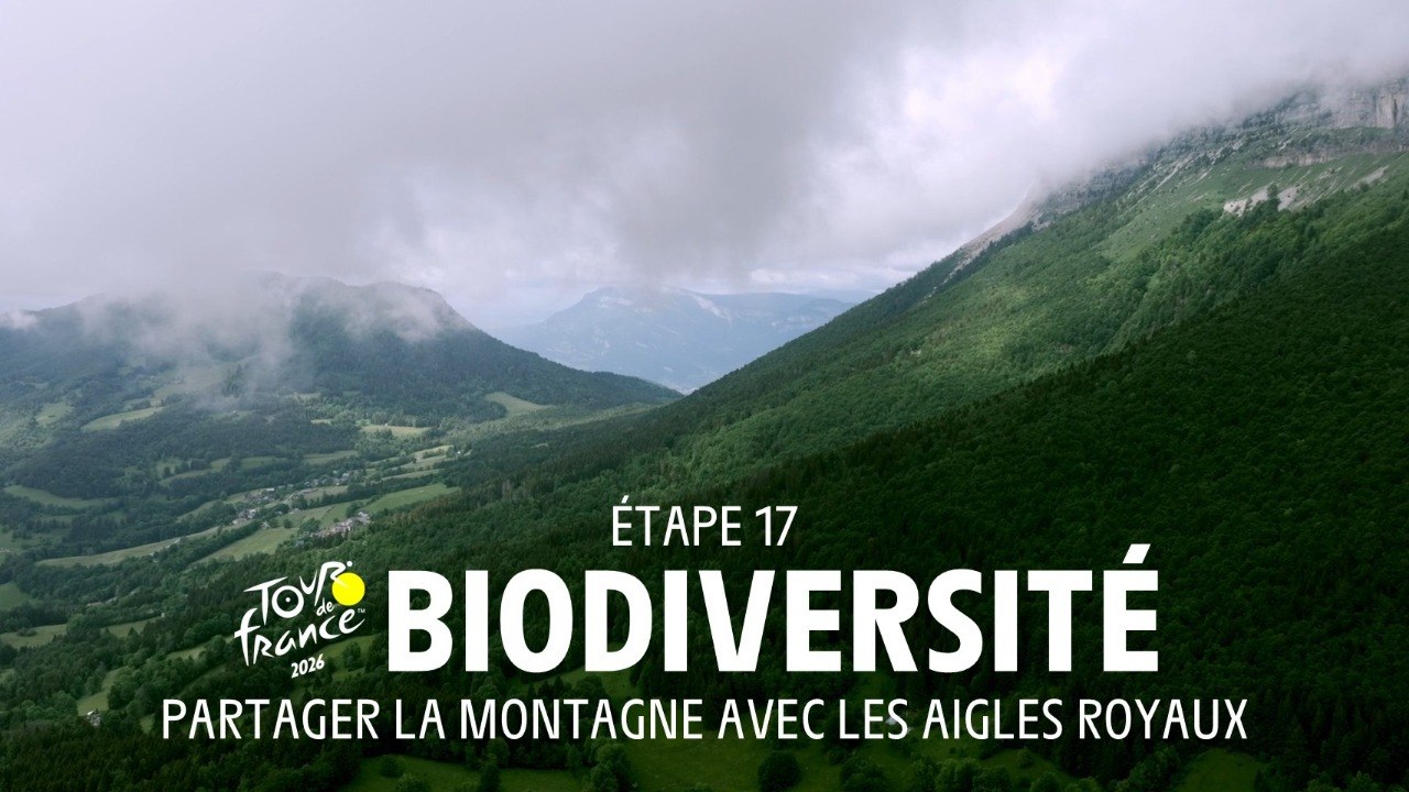 Partager la montagne avec les aigles royaux - Tour de France 2026