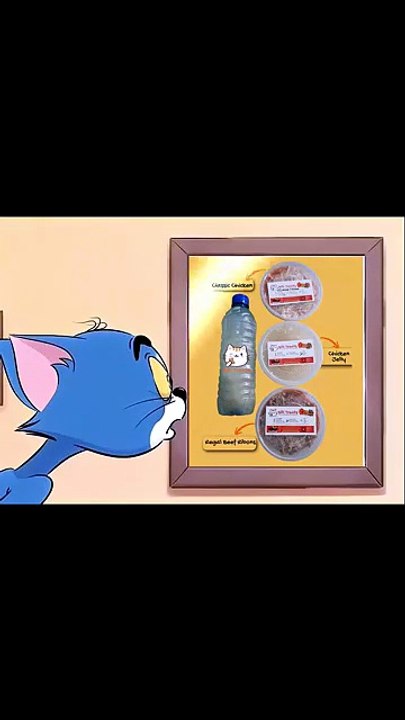 Why Pet Owners Prefer Best Wet Cat Food |Billi Treats for Daily Feeding