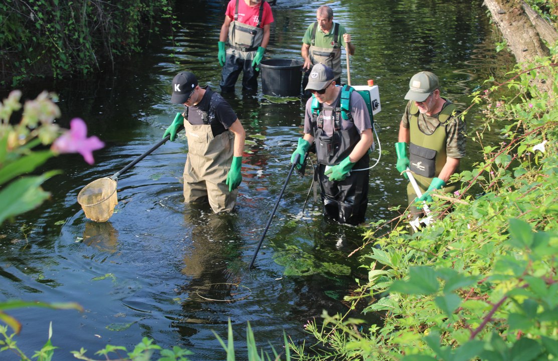 Canicule : en Bretagne, les pêcheurs en rivière se mobilisent pour sauver des poissons