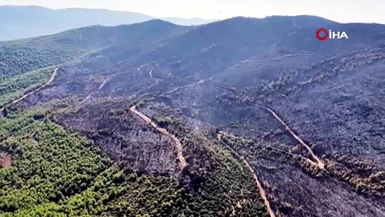 Cennet cehenneme döndü: Muğla'daki orman yangınında geriye bu manzara kaldı