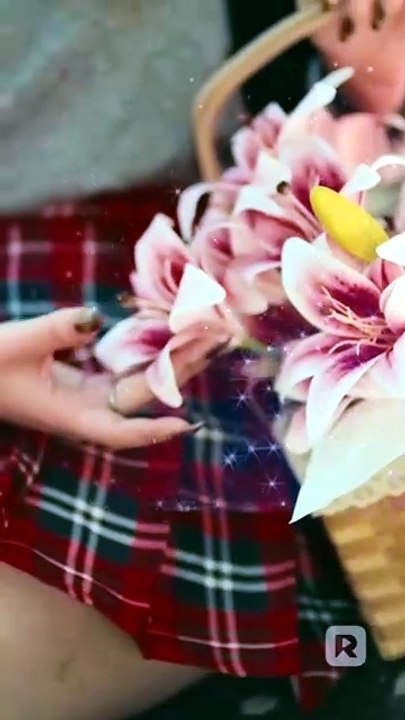 Never Reject A Wolf Princess - Full Short Drama - Video Dailymotion [Full Movie]