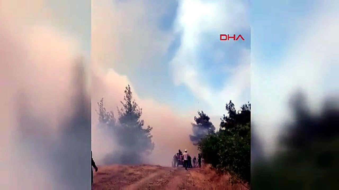 Bursa’da orman yangını
