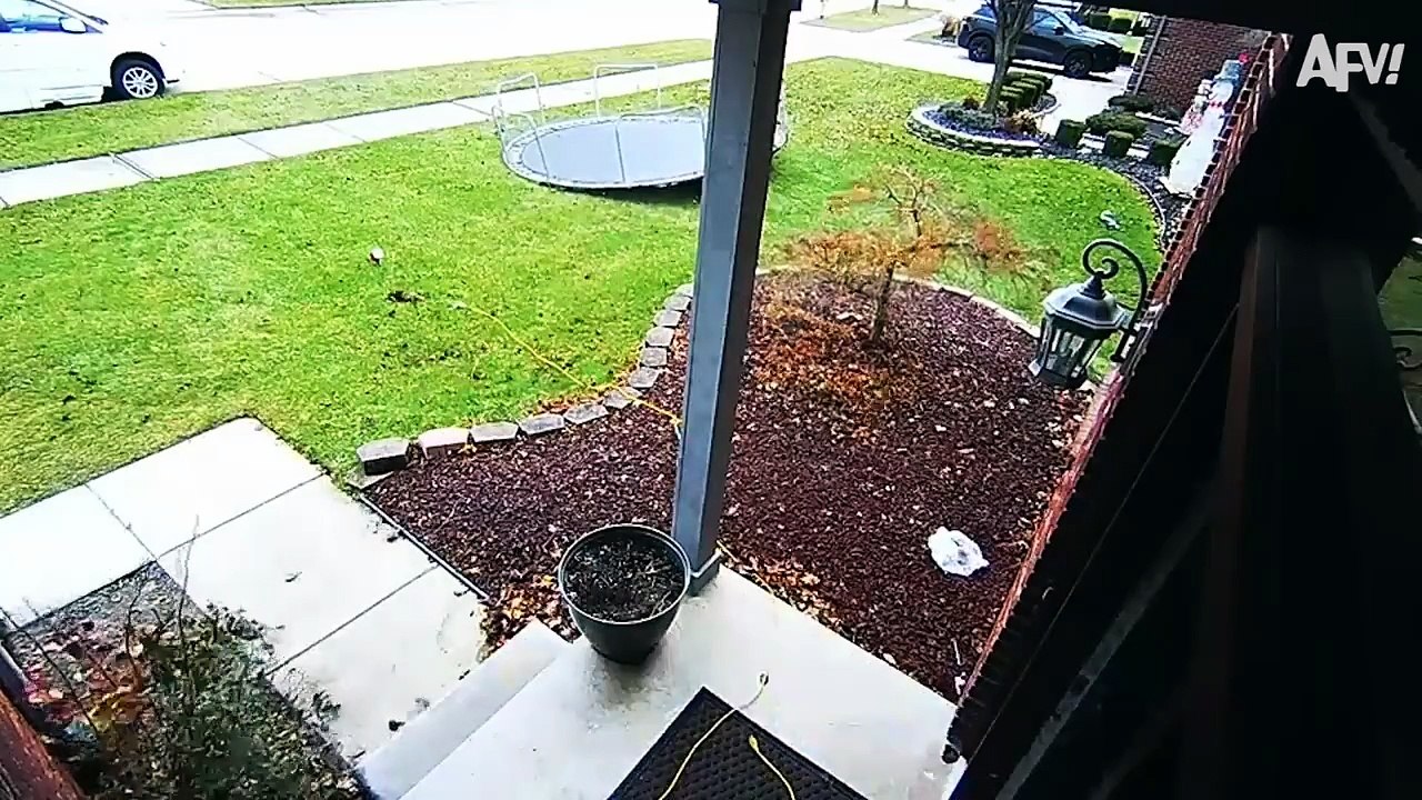 Ultimate Funny Security Camera Fails Compilatio...