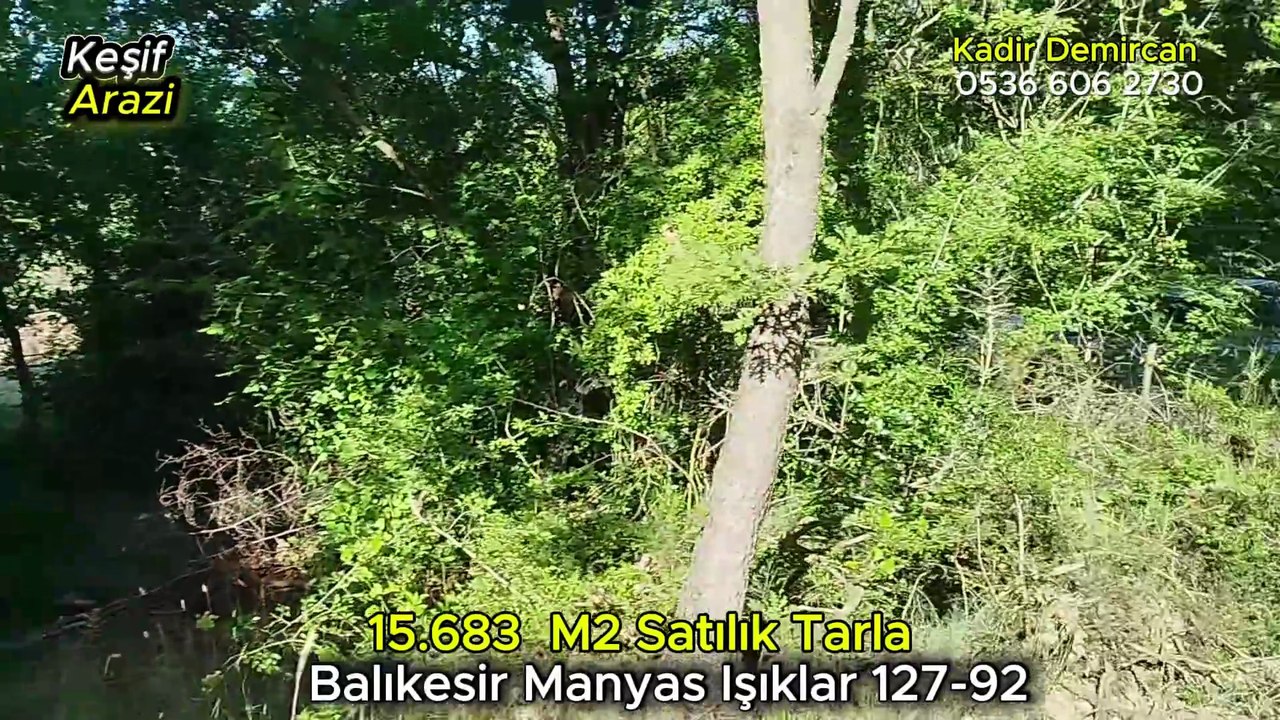 15.683 M2 Köye Yakın Satılık Tara. Keşif Arazi. Balıkesir Manyas Işıklar Ayhan Tok
