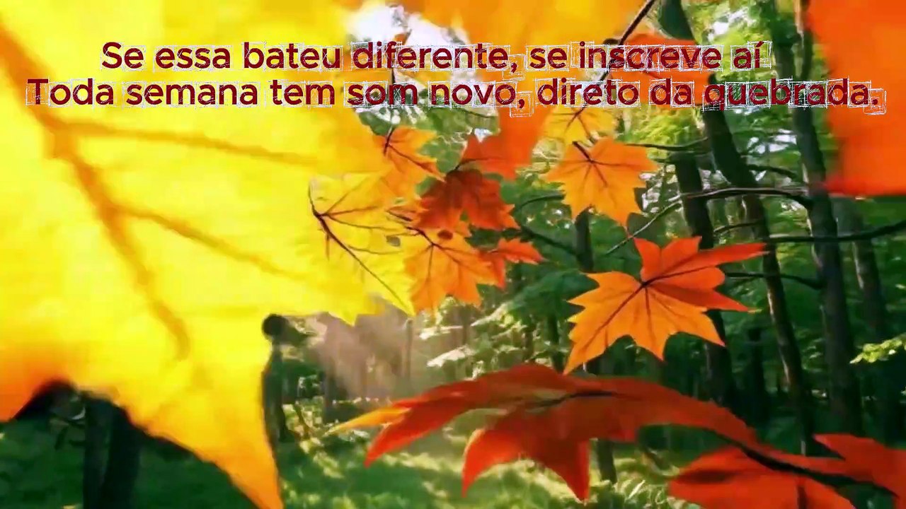Café na Madrugada