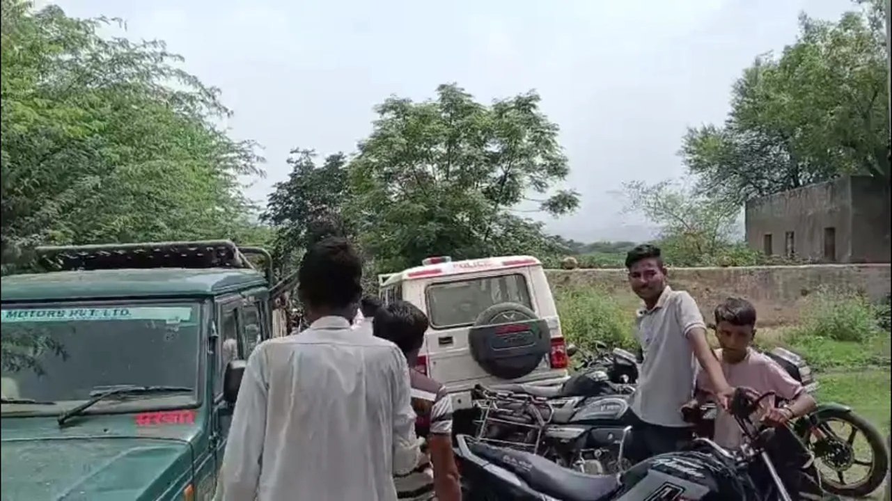 झाड़ियों में बैठा दिखा टाइगर