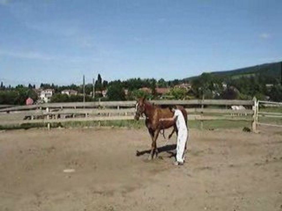 La jambette de ma jument