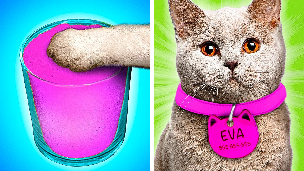 MUST HAVE GADGETS FOR YOUR PET || Cool Hacks for Pet Owners and Fun DIY Toys by 123 GO! GOLD