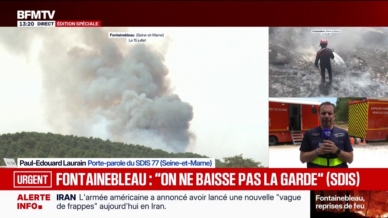 Incendie de Fontainebleau: "On est sur une phase de noyage pour considérer que le feu est éteint", explique le SDIS 77
