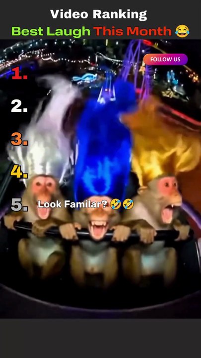 TOP 5 Funniest Moments Ranked