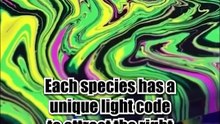 Did you know 4