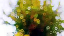 🌙 Khamosh lamhon ki kahani 🍂 Sad Poetry | Nature | Feelings ✨ Har video ek ehsaas hai 💔 Dil ki baatein, alfaazon ke saath 🎥 Daily aesthetic uploads