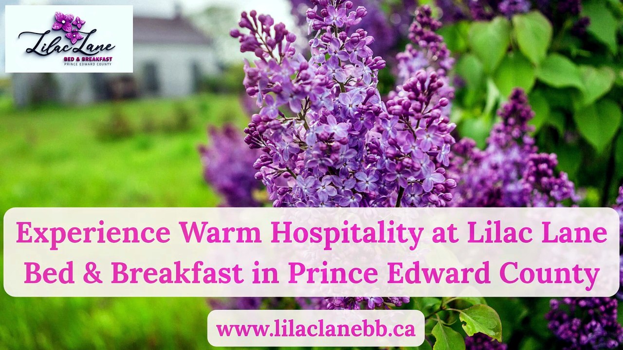 Experience Warm Hospitality at Lilac Lane Bed & Breakfast in Prince Edward County