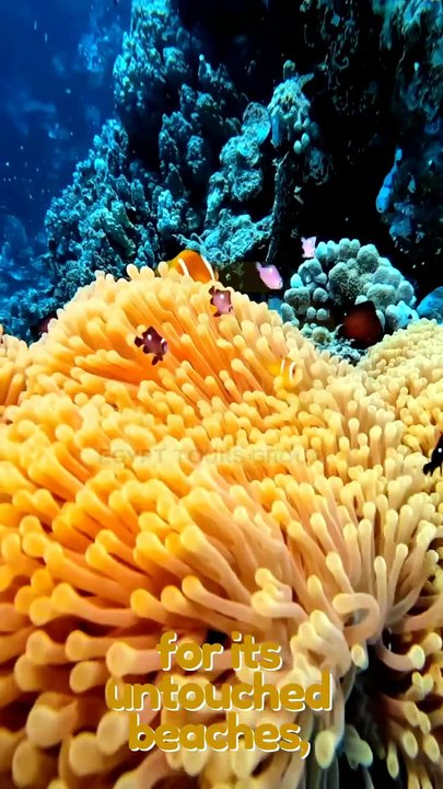🌊 Discover Marsa Alam, Egypt ✨