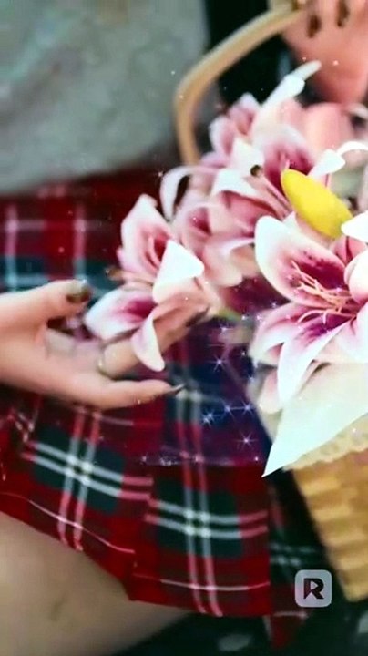 Never Reject A Wolf Princess - Full Short Drama - Video Dailymotion [Full Movie]