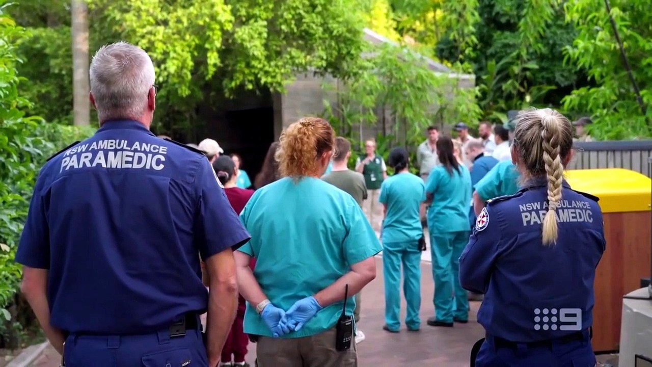 Taronga whos who in the zoo Season 06 Episode 1 Engsub [Full Movie]