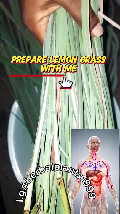 join me to prepare lemon grass  try this