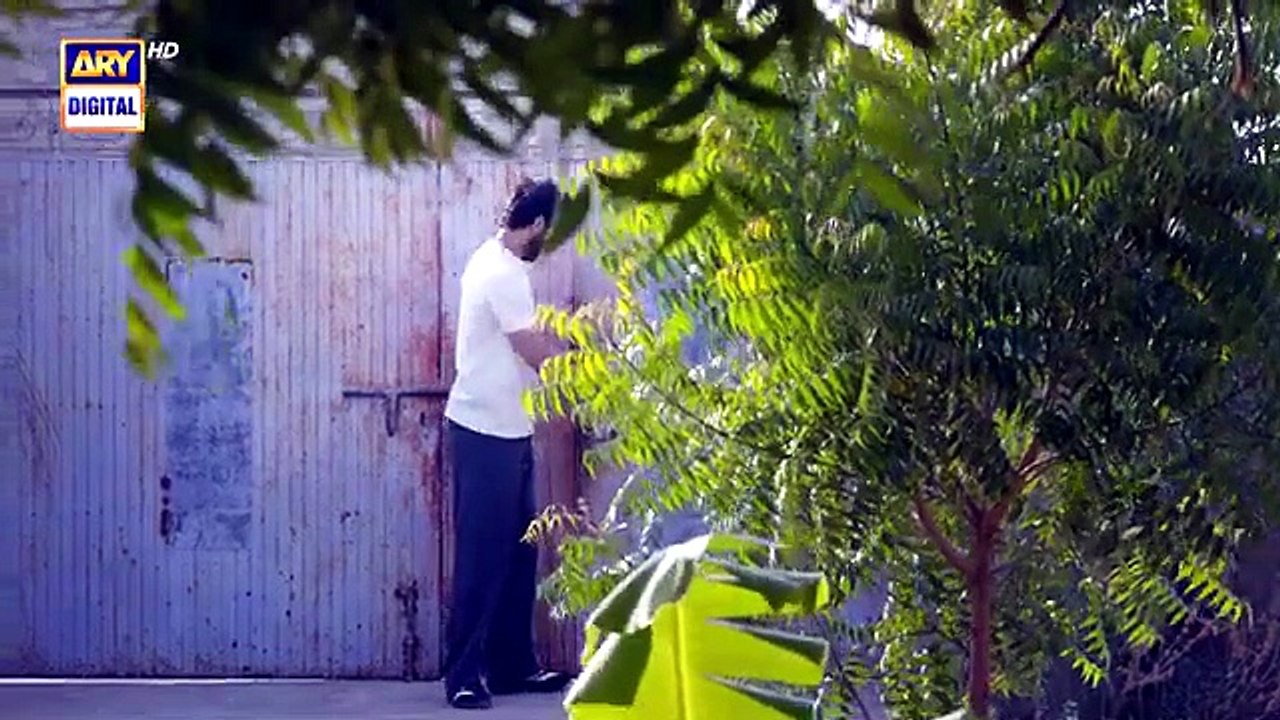Mirza Ki Heer ep 22 Pakistani drama [Full Movie]