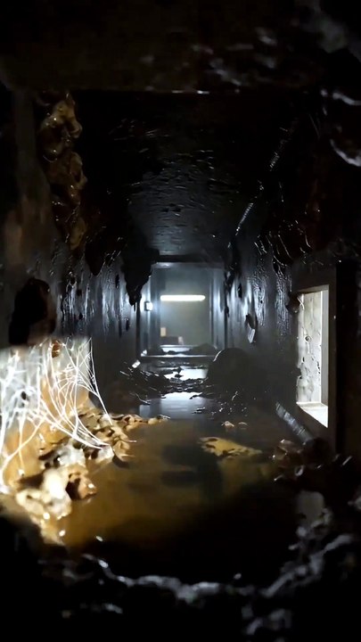 Sem Remédio, Virei o Rei Zumbi Série Completa