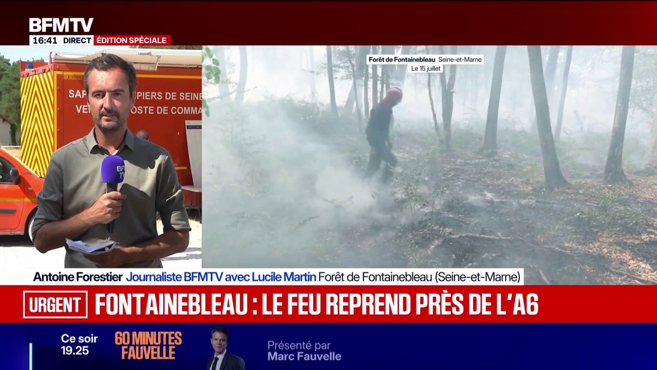 Incendies à Fontainebleau: une reprise de feu près de l'A6