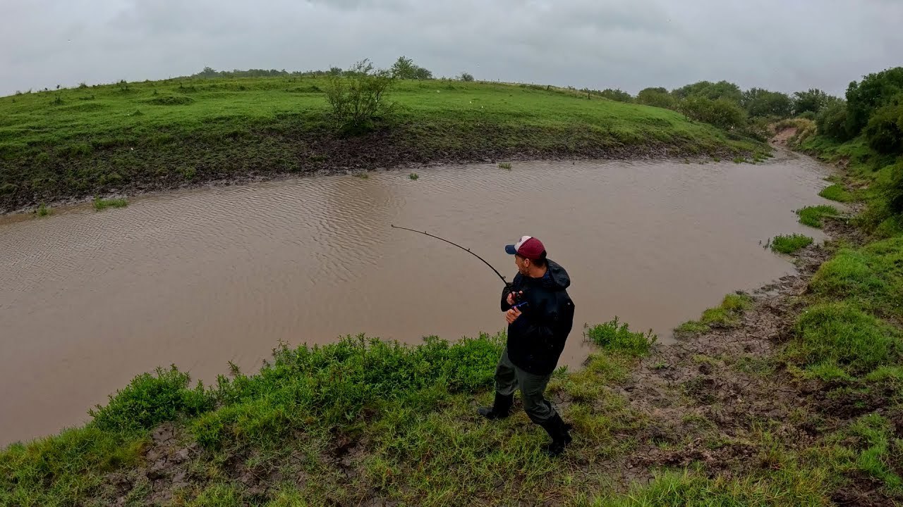 🔥🔥 AVENTURA DE PESCA BAJO LA LLUVIA, pesca de bagres grandes, exploración de arroyo y campo