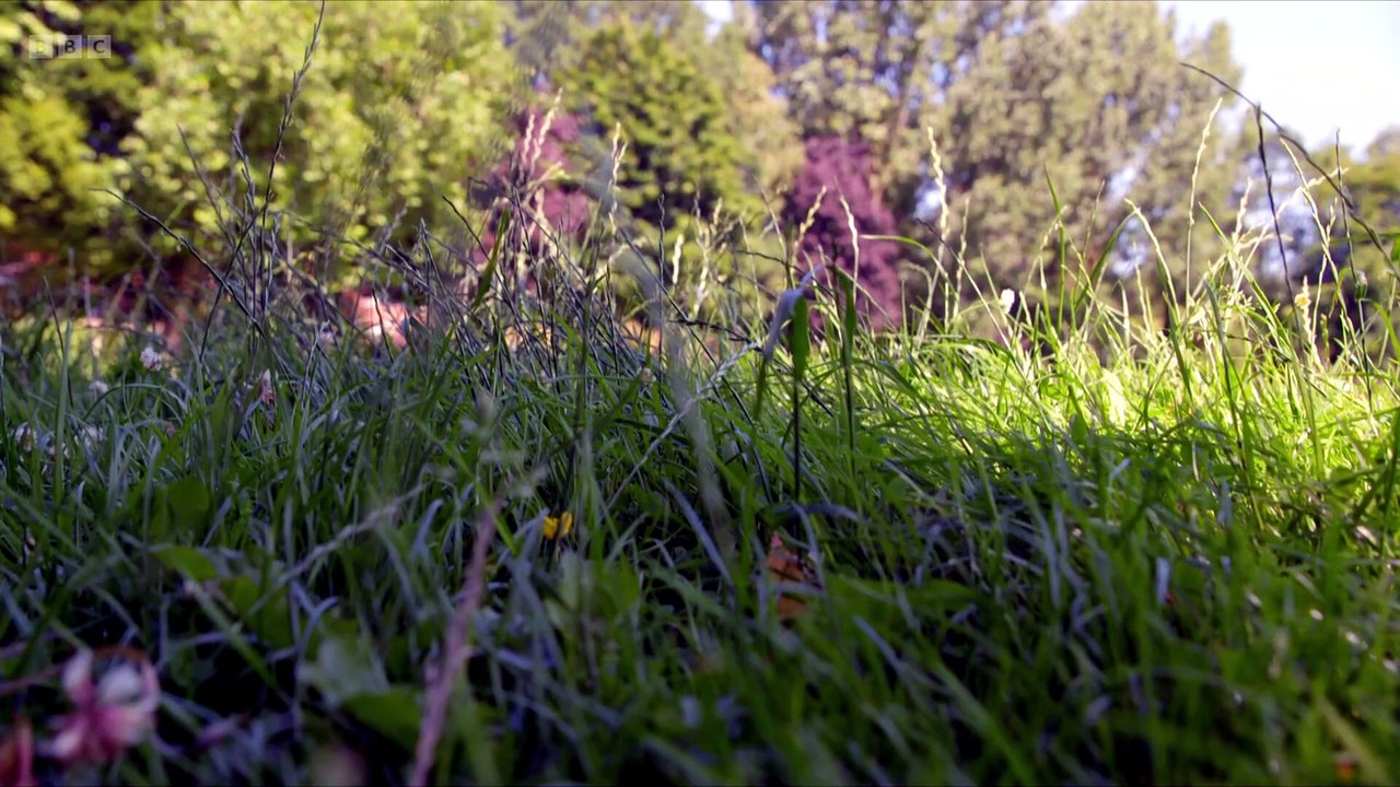 Lost and Found in the Lakes S02E03 The Long Lost Ring