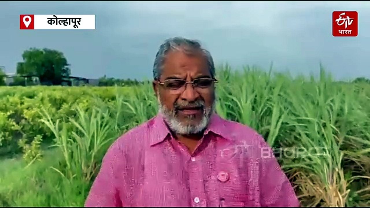 शेतकऱ्यांच्या वीज बिल माफीत 48 हजार कोटींचा मोठा 'घोटाळा'; राजू शेट्टींचा सरकारवर खळबळजनक आरोप
