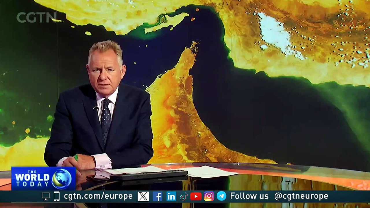 Seafarers at risk in the Strait of Hormuz crisis: "We have been sitting in a state of confusion"