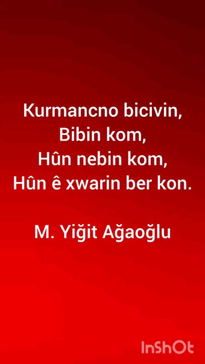 bibin kom