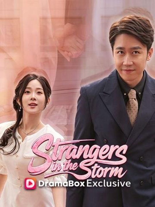 Strangers in the Storm - Full Chinese Movie