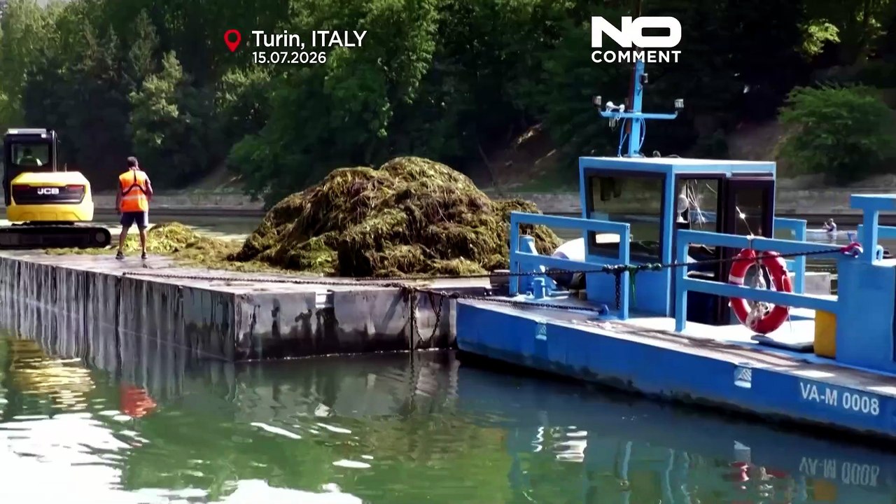 Fiume Po soffocato dalle alghe: l'Italia affronta caldo e problemi di navigazione