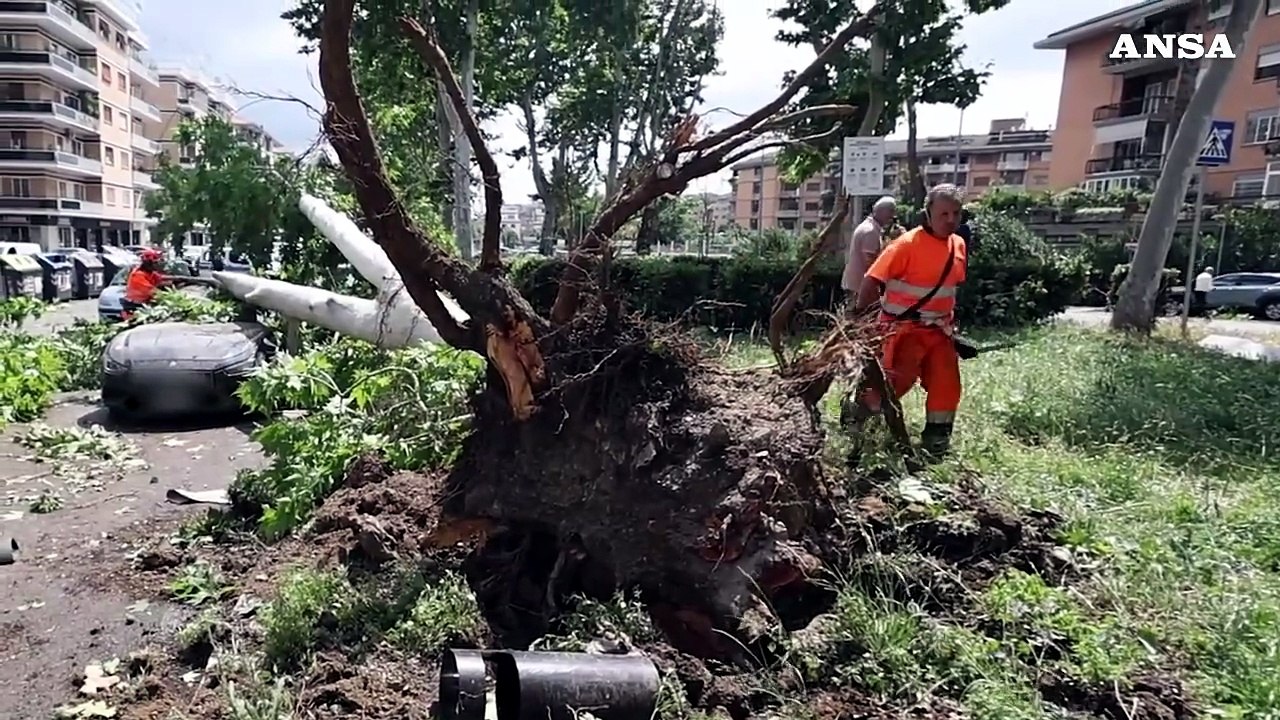 Tornado si abbatte su Roma, strage di alberi e veicoli