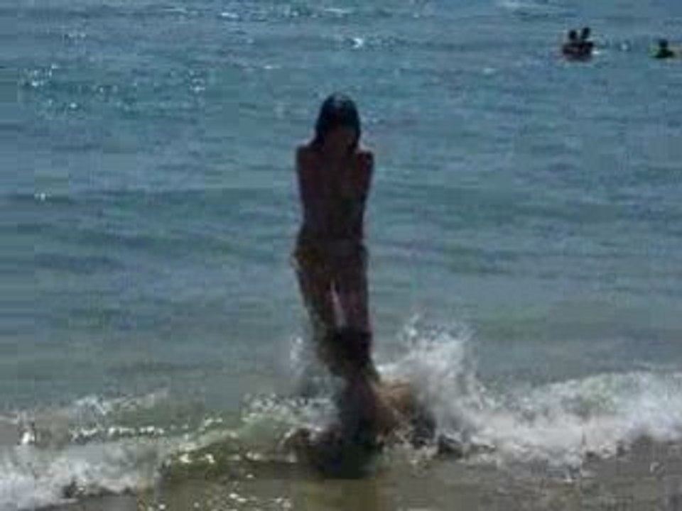 Phoque ou baleine