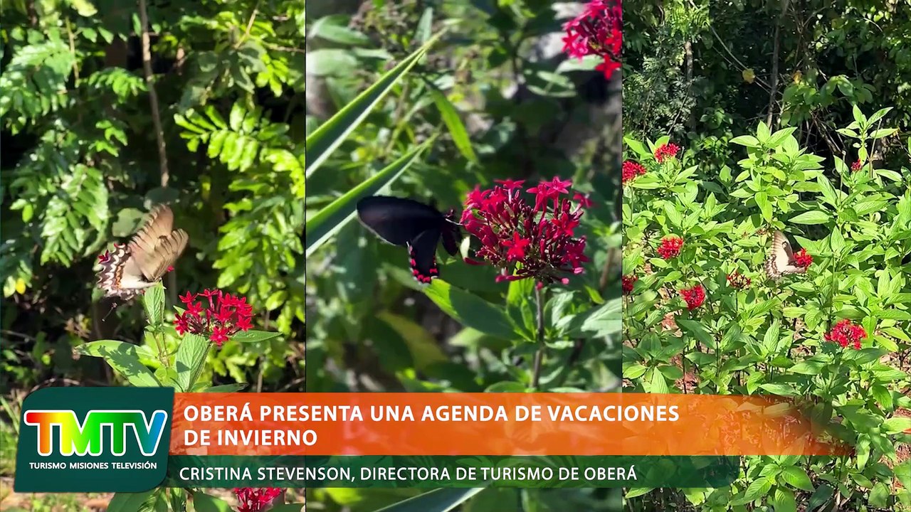 Oberá presenta una agenda de vacaciones de invierno