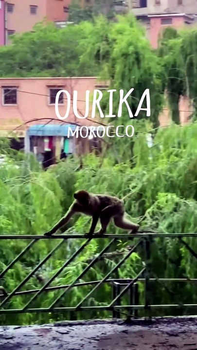 vlog maroc