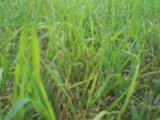 Parole per Yanez - Tredicesima puntata