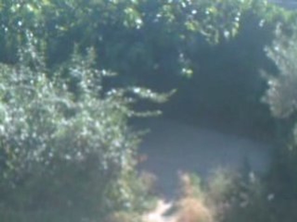 CLIP0003