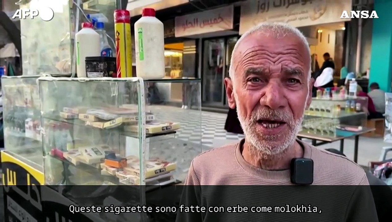 Gaza, causa carenza di tabacco si fumano sigarette fatte con foglie di molokhia