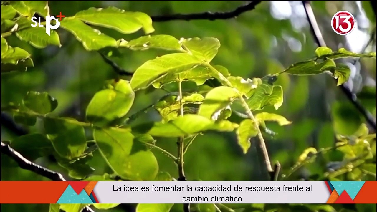 Su Lado Positivo 15 julio 2026